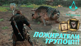 КАК УБИТЬ ТРЁХ ГИГАНТСКИХ ВОЛКОВ в ОКСЕНФОРДШИРЕ??? НАВЫКИ + НАГРАДЫ 🥇!!!🎮 Assassin's Creed Valhalla