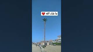 سبحان الله وبحمده سبحان الله العظيم