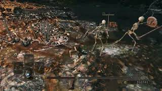 Sl1 CoC No roll/block/parry Skeleton Lords - Dark Souls II