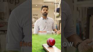 Choosing the Right Cricket Bat: English vs. Kashmir  #CricketBats #englishwillow #kashmirwillow