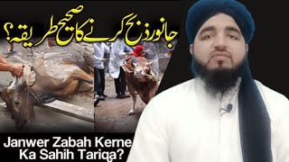 جانور کو ذبح کرنے کا صحیح طریقہ |janwer zabah kerne ka sahih tariqa || Ask Mufti Taqe Nasari