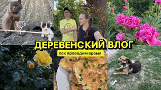 Кому нужны котята?) Деверенский влог /Горячие бутерброды / Природа