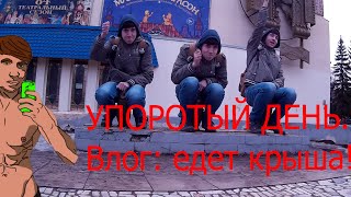 Упоротый день. Влог: едет крыша!!