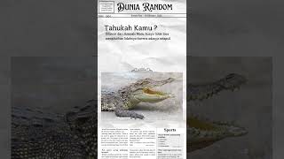 Tahukah kamu? Buaya tidak bisa menjulurkan lidahnya.  #shortsvideo #fypシ