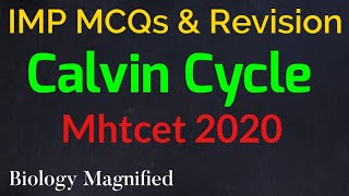 VERY IMP topic Calvin Cycle for mhtcet 2020, MCQs and Concept on photosynthesis 12th biology