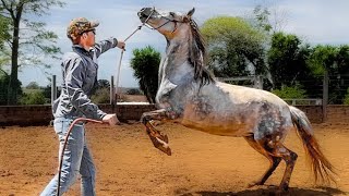 Most Horses Overreact To This! (Desensitizing to Lead Rope)