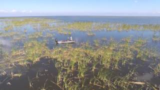 Okeechobee From Above