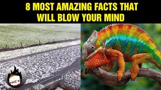 Amazing Facts That Will Blow Your Mind