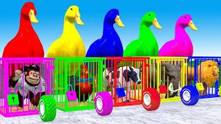 5 Giant Duck & Wild Animals Cage Game Cow, Gorilla, Chicken, Elephant, Buffalo Crossing Fountain