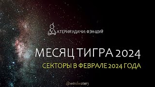 ФЭН-ШУЙ ПРОГНОЗ: ФЕВРАЛЬ 2024, месяц Тигра: летящие звезды, секторы, Согревание Денежной Звезды