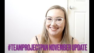 #teamprojectpan2021 November Update