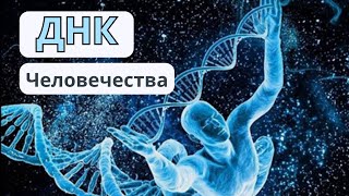 Родословная Человечества. Какой сексрет в ДНК ?