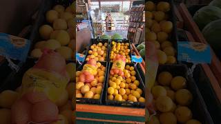 Ridge Island Groves | Roadside Citrus Stand in Florida #shorts