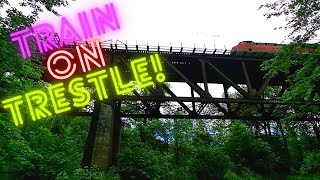 Train on Trestle!!  Kind of scary!