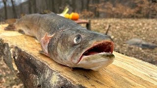 GIANT FISH PACKET IN SALT 🦈🔥| Food in Nature Slovakia (hucho hucho)