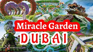 Dubai Miracle Garden 2023 || The world’s largest natural flower garden || Discovery World