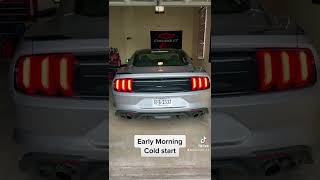 Cold Start 2022 Mustang GT