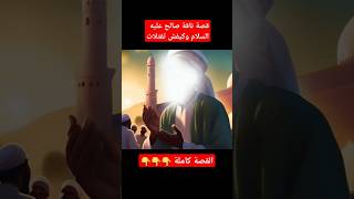 قصة نبي الله صالح و كيفاش المجرمين قتلو ناقة الله #قصص القرآن