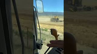 Barley Harvest 2023 #farmer #johndeere #farming #harvest23