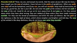 Proverbs 4:10-19: Two Paths