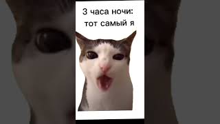 Котик ест в 3:00 ночи!!!