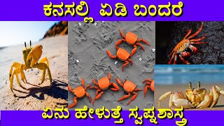 ಕನಸಲ್ಲಿ ಏಡಿ ಬಂದರೆ | Kanasalli crab bandare