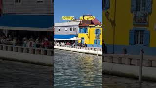 Fishing 🎣 fishing 🎣 in Aveiro #trending #travel #samba #portofino #viral #automobile #visitlisbon