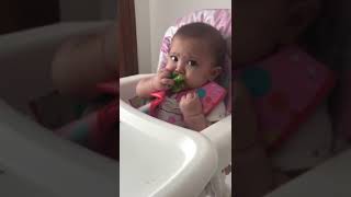 Bebê comendo brócolis - Rebeca Wajsfeld / Camila e Gabriel Wajsfeld