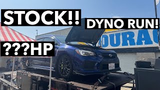 DYNO RUN!! Subaru WRX/STI Stock Baseline Dyno Pass With Numbers!!