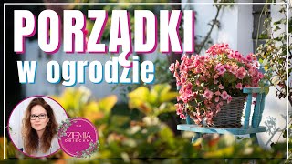 Jesienne porządki / pierwsze cebulowe w gruncie