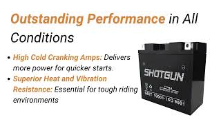 Shotgun YT14B-BS High-Performance AGM Motorcycle Battery – Durable, Maintenance-Free Power!