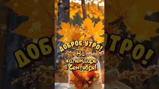 🍁⏰☕С ПЕРВЫМ ДНЁМ ОСЕНИ! ДОБРОЕ УТРО!