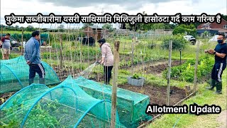 युकेमा नेपालीहरुको सब्जीबारी | Allotment Update | Growing & Living Organic Lifestyle | Nepali Vlog