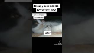 Когда тебя всегда шугается друг #Shorts #ржака #угар #смешныевидео #прикол#приколытикток#приколы2022