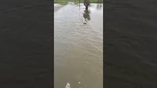 Hochwasser  #DurchDieBerkel #Vreden #Odenkott