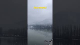 #trending #viral #kashmir #youtubeshorts #youtube #travel #dallake #snowfall