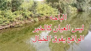 من جمال الفيديو ماعرفت اسميه