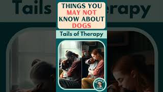 Tails of Therapy | Things You May Not Know About Dogs | YouTube Short Video | Dog Breeds