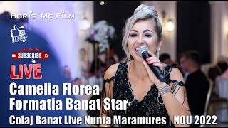 Camelia Florea | Banat Star - Joc de Banat | LIVE nunta Maramures