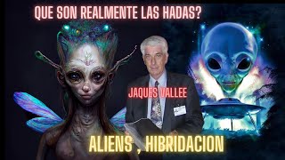 QUE SON LAS HADAS REALMENTE?????