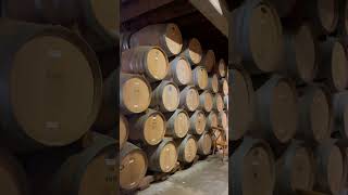 V. SATTUI WINERY || WINE TASTING || NAPA VALLEY CALIFORNIA