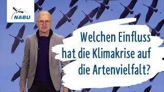 Wirkt sich die Klimakrise auf unsere Artenvielfalt aus?