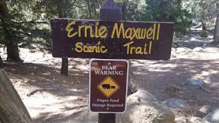 Idyllwild, Humber Park, Fern Valley, San Jacinto Mountains, Oct. 2017