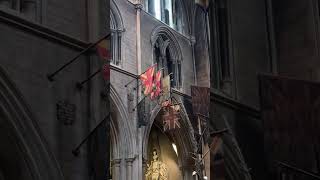 Dublín 🇮🇪 catedral san Patricio #shorts #shortvideo #irlanda #dublin #catedral