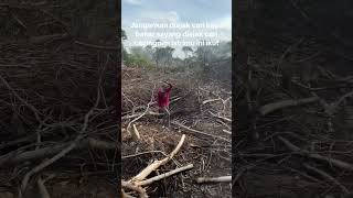 Kemana ajala ikut ni #trending #kalimantan #jalanjalan #hutan