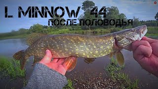 ПЕРВАЯ РЫБАЛКА после летнего половодья! L - Minnow 44!