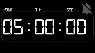 ⏰ TIMER 5 Hours - Countdown - no Beep