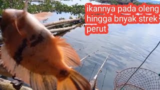 mancing calingcing jangari babakan garut//mancing hari ini