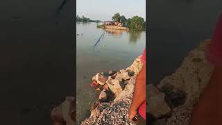 बैरिया-बलिया-मांझी-छपरा बांध टूट गया #bairia #balliaflood