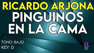 Ricardo Arjona - Pinguinos En La Cama - Karaoke Instrumental - Bajo